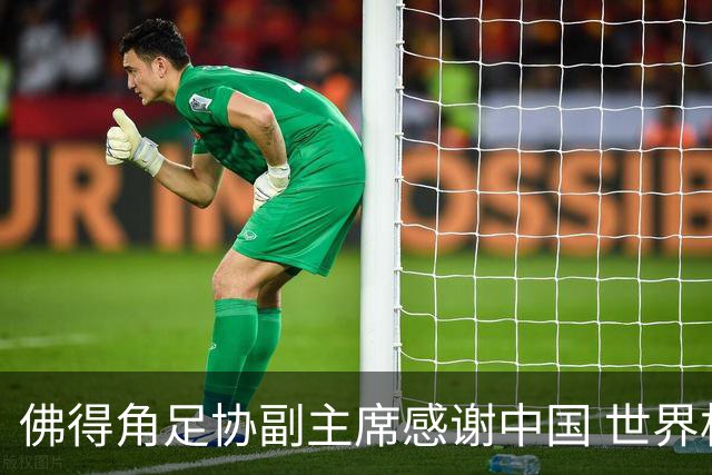 佛得角足协副主席感谢中国 世界杯后将安排与国足友谊赛