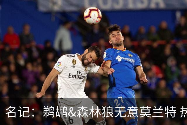 名记：鹈鹕&森林狼无意莫兰特 热火也不急于尝试其与字母哥的搭档